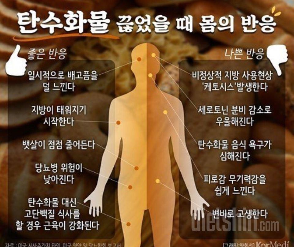 탄수화물을 끊으면...