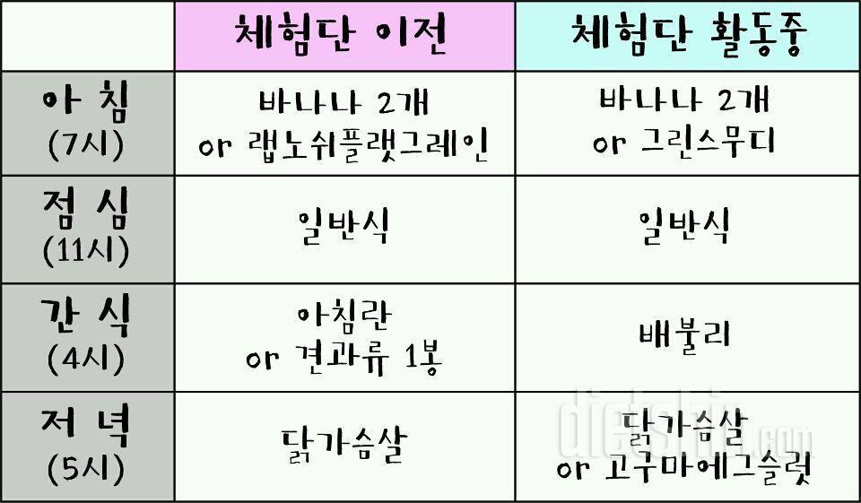 배불리 최종후기 (비포&에프터)