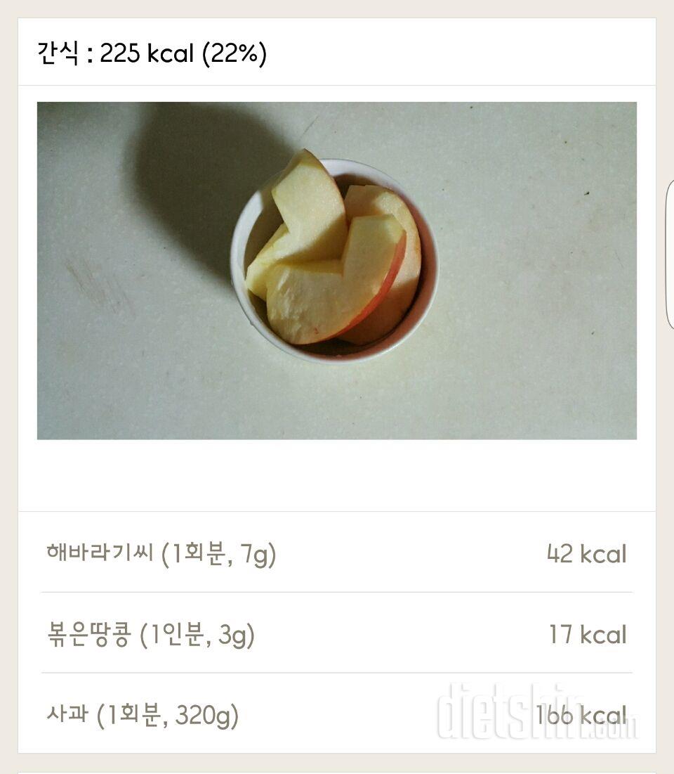 30일 1,000kcal 식단 33일차 성공!