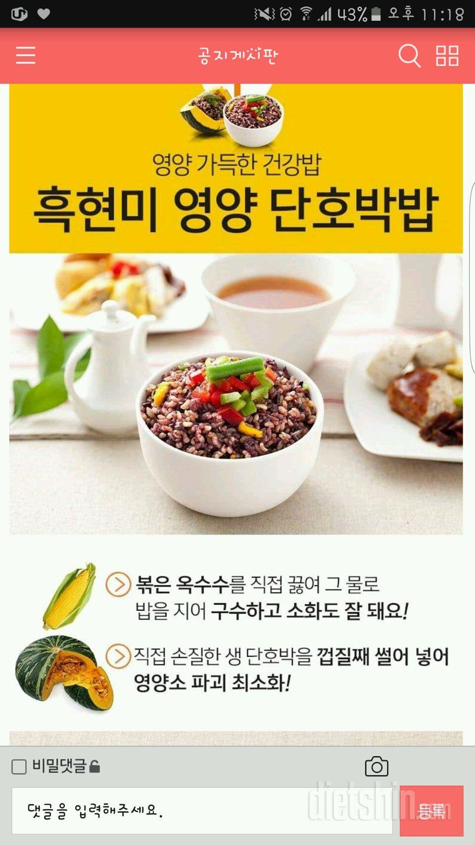 ☆☆_설련이가 정인혜도시락 체험단 대놓구 신청합니당_☆☆