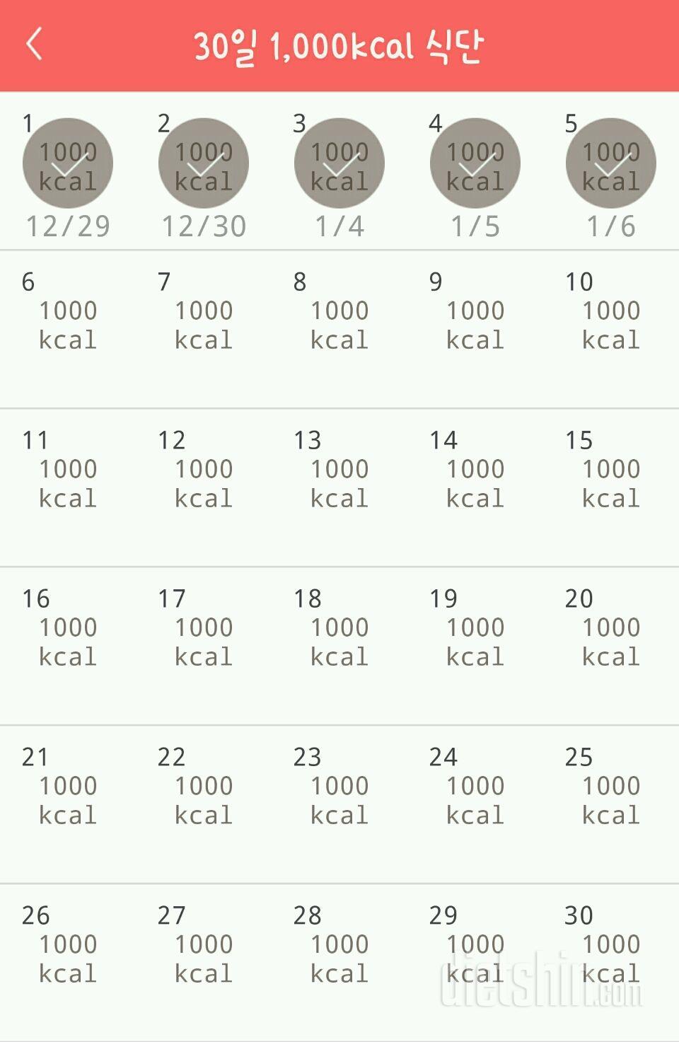 30일 1,000kcal 식단 5일차 성공!