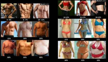 체지방률에 따른 몸매사진!