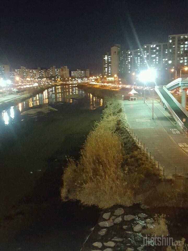 춥지만 밤공기 참 좋네요 😃😃🌙