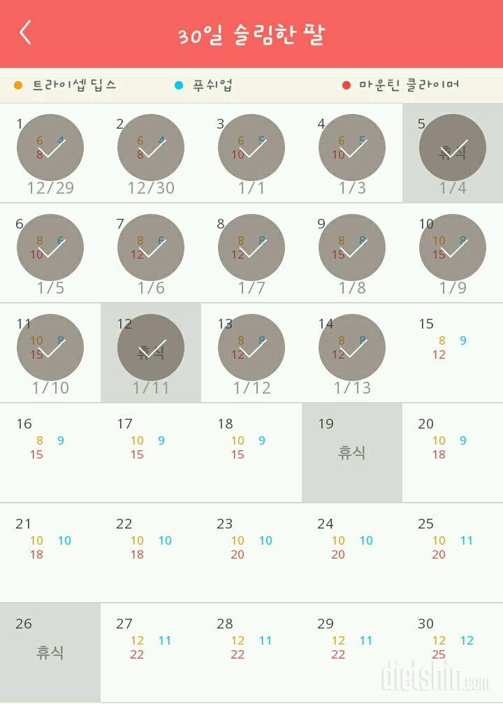 30일 슬림한 팔 14일차 성공!