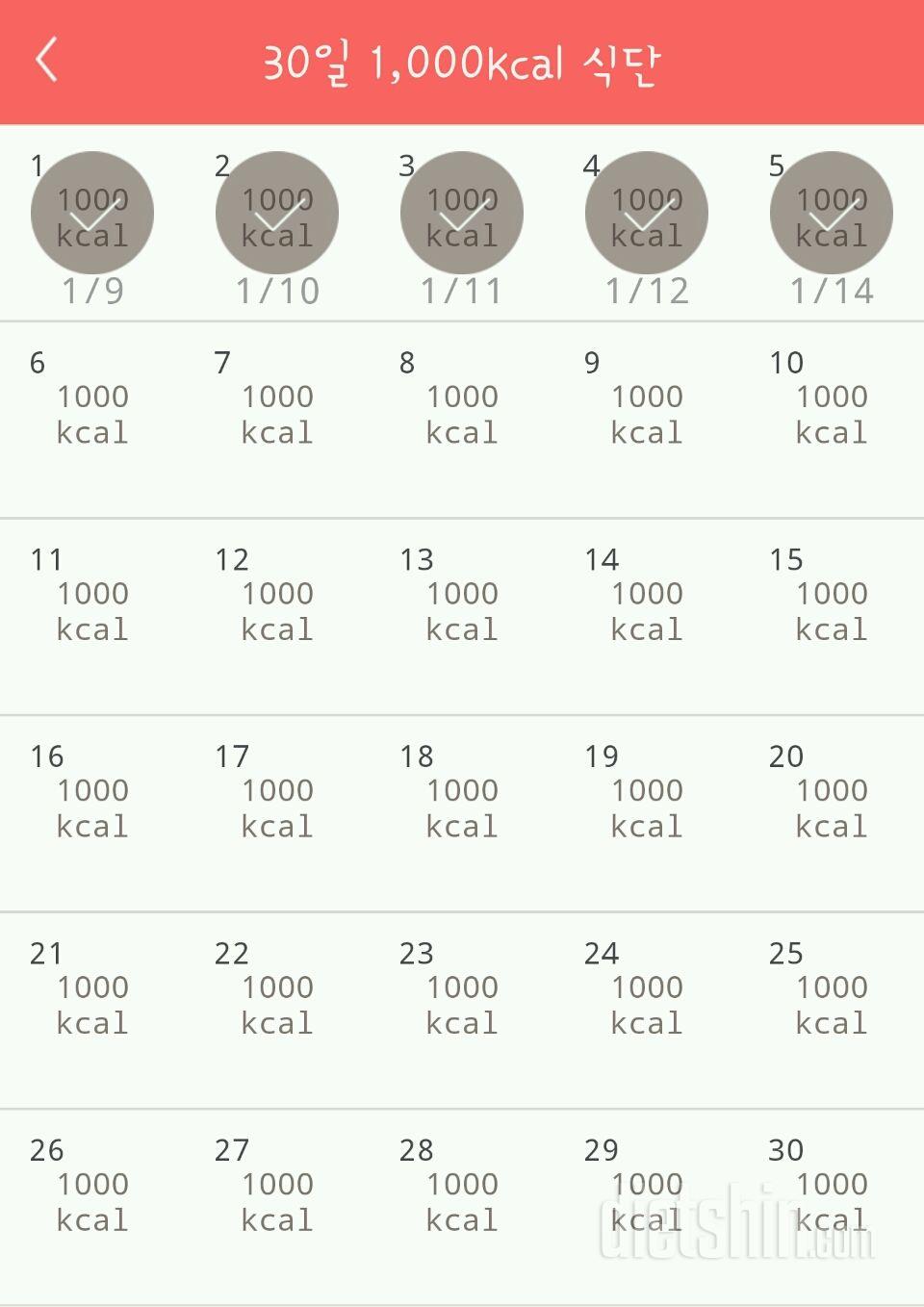 30일 1,000kcal 식단 5일차 성공!