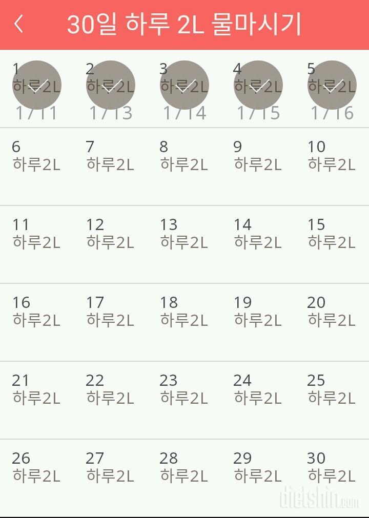 30일 하루 2L 물마시기 5일차 성공!