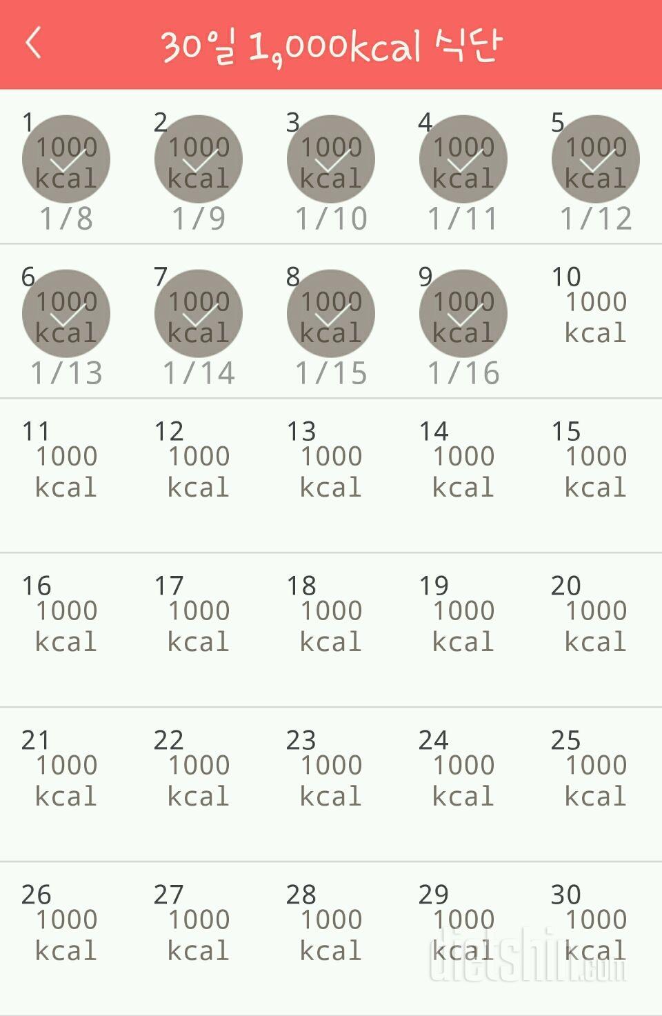 30일 1,000kcal 식단 39일차 성공!