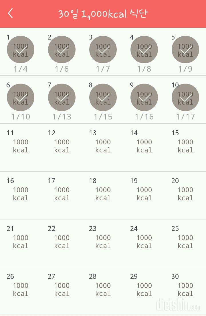 30일 1,000kcal 식단 10일차 성공!