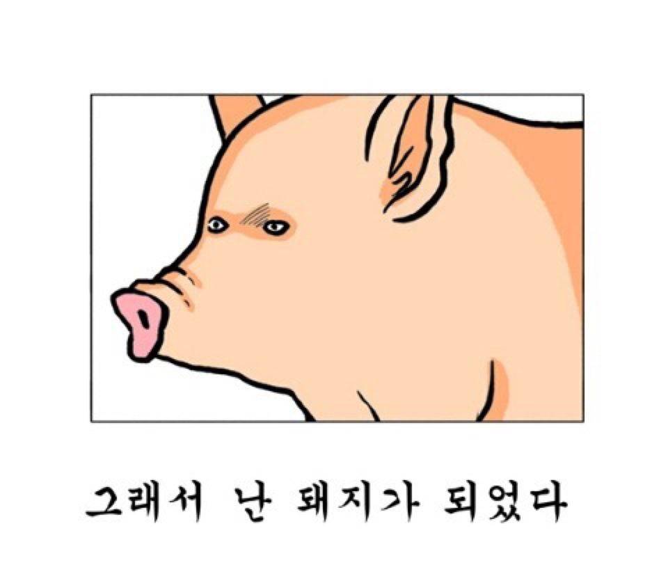 다이어트 내일부터 짤2