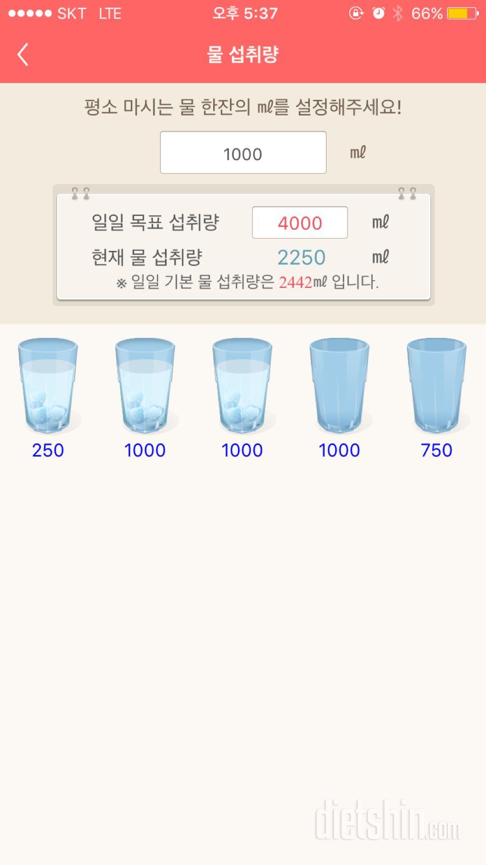 30일 하루 2L 물마시기 2일차 성공!