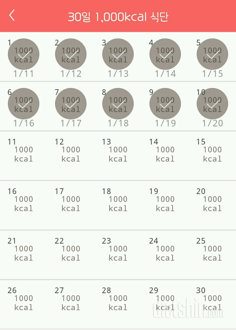 30일 1,000kcal 식단 10일차 성공!