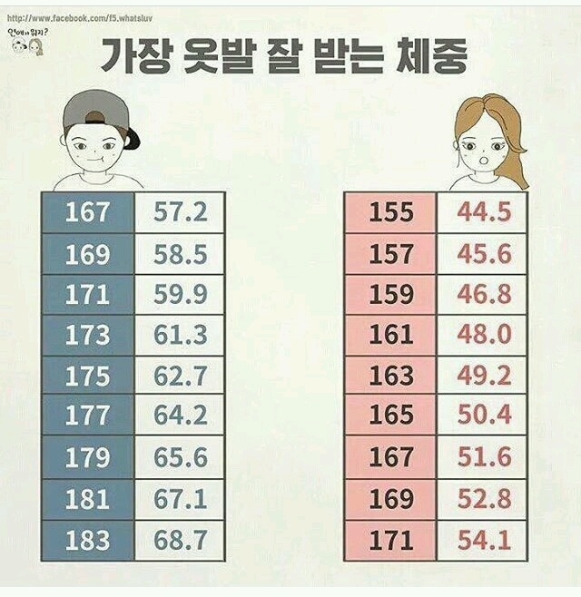 자극짤 공유