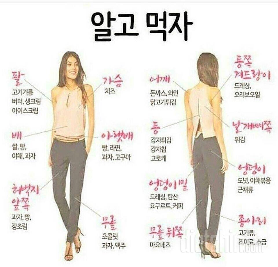 알고먹자