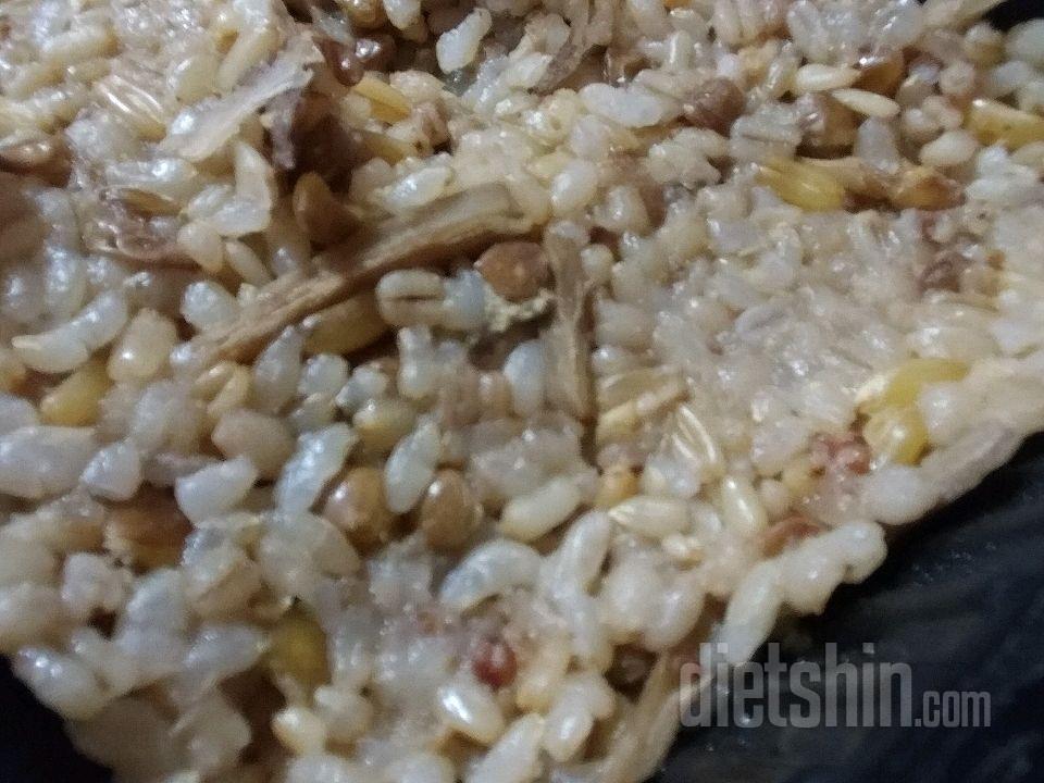 🍱캐디#2 별미7곡 현미 우엉밥 with 닭가슴살 스테이크