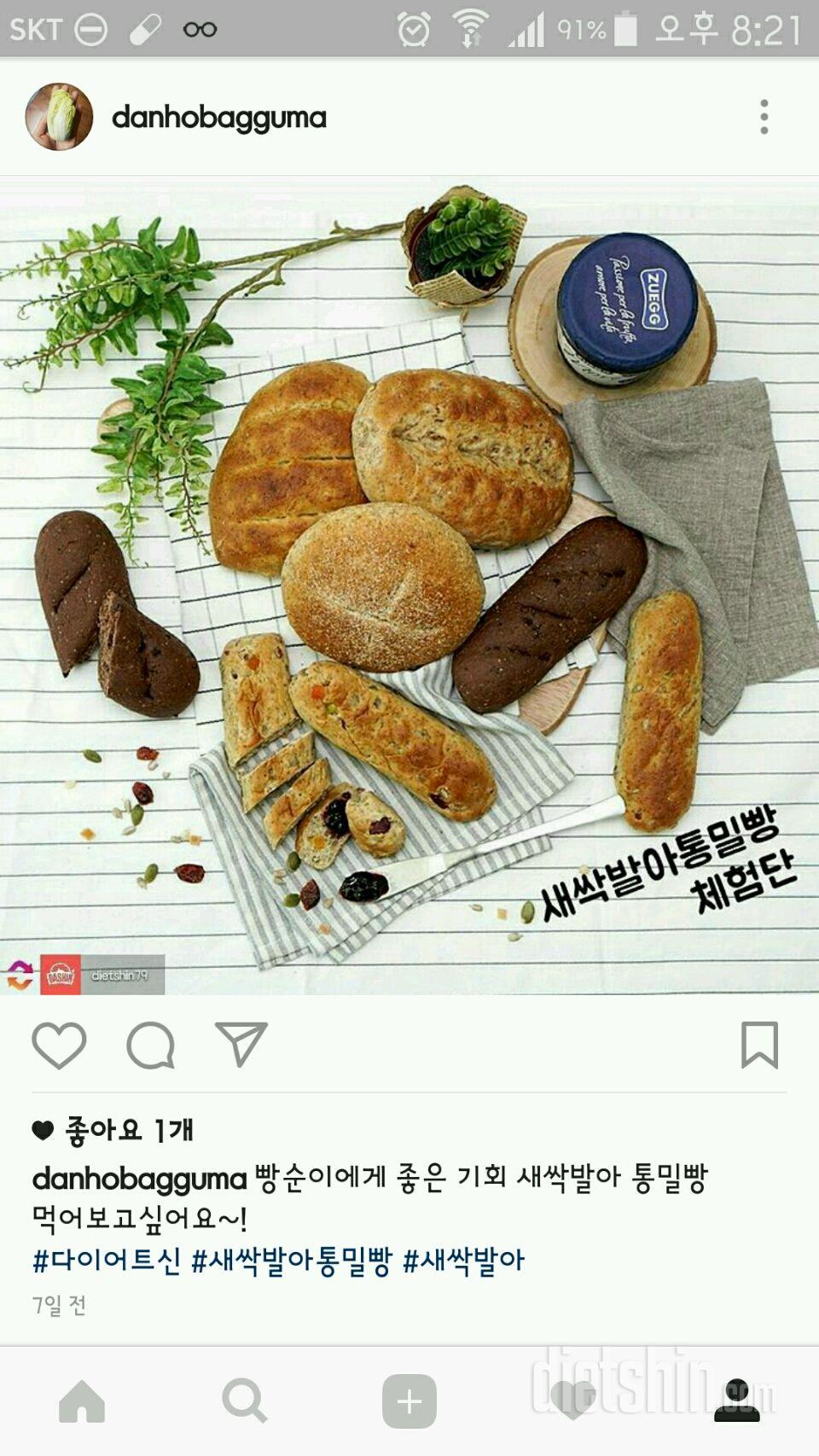 새싹발아 통밀빵 체험단 신청합니다~