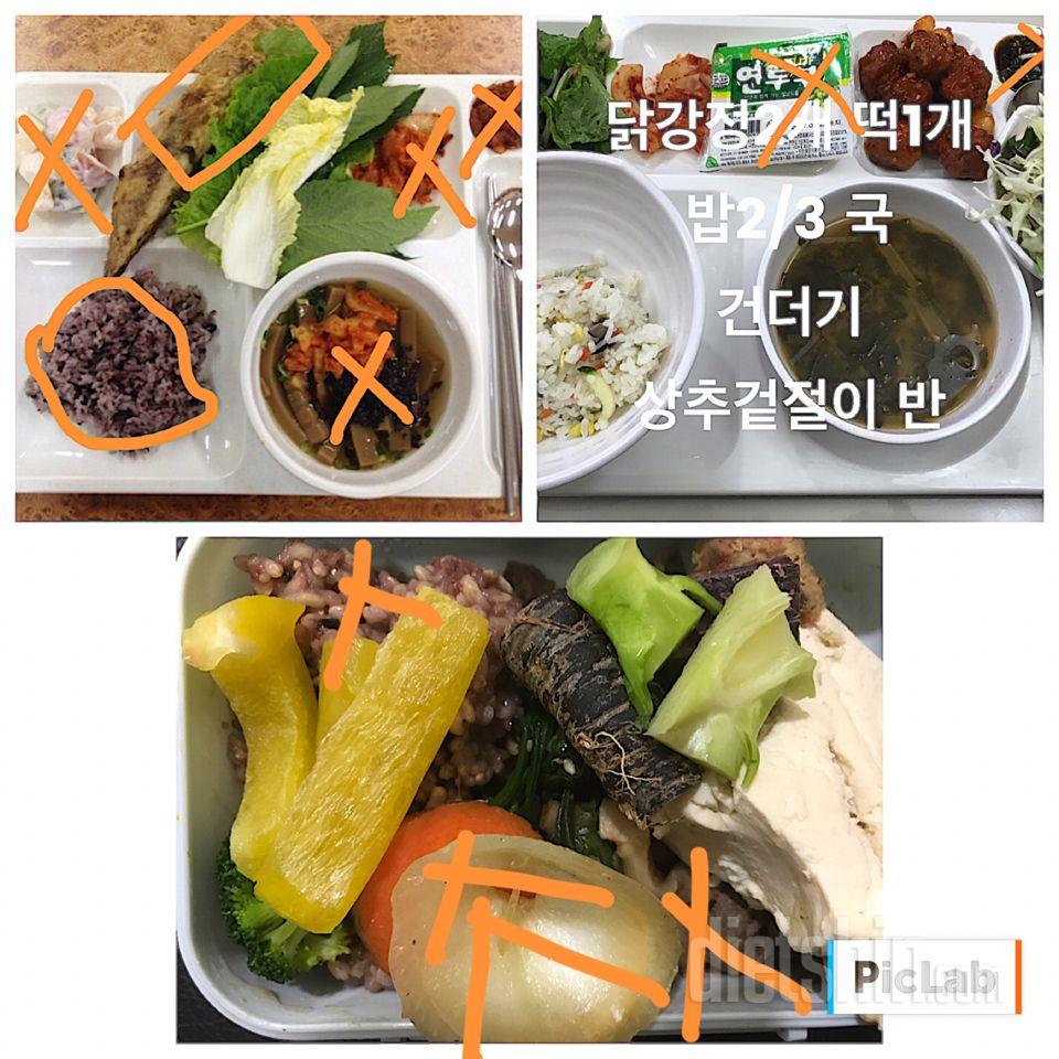 식단