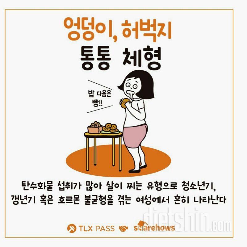 [팁&노하우] 체형별 다이어트 방법