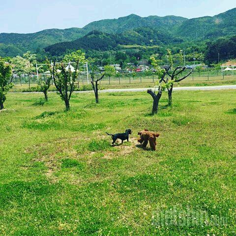 온천천 걸읍시다. (부산. 동래)