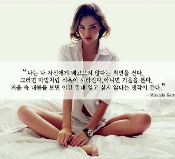 [연예인들의 다이어트 명언]