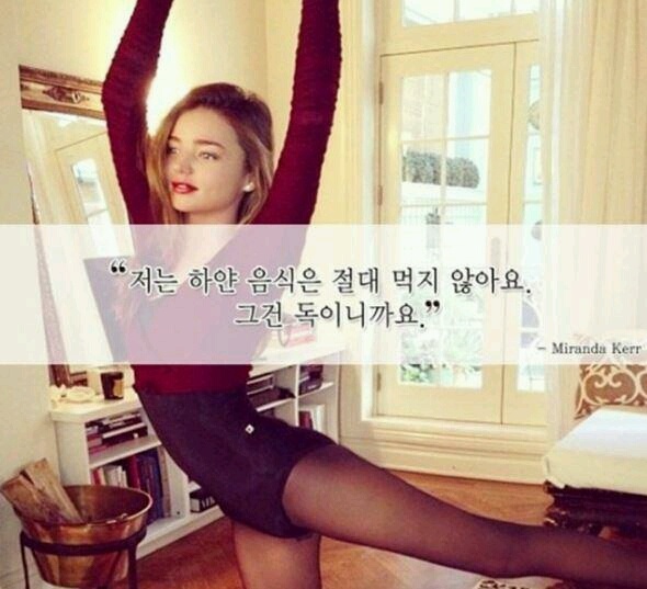 [연예인들의 다이어트 명언]