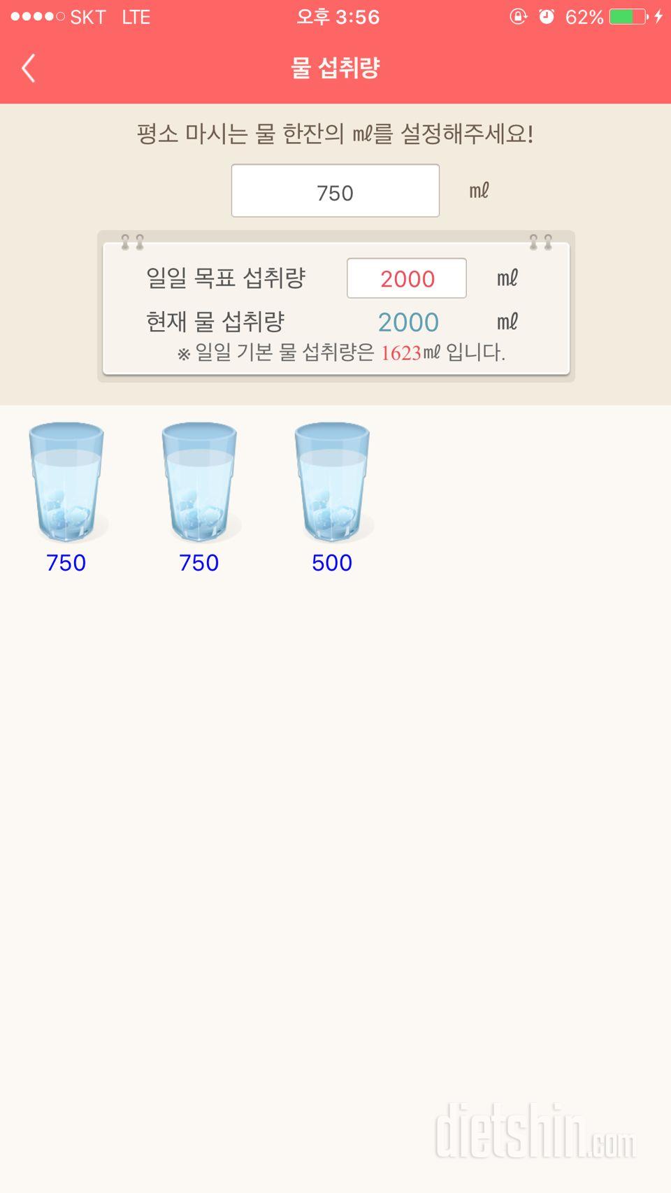 30일 하루 2L 물마시기 2일차 성공!