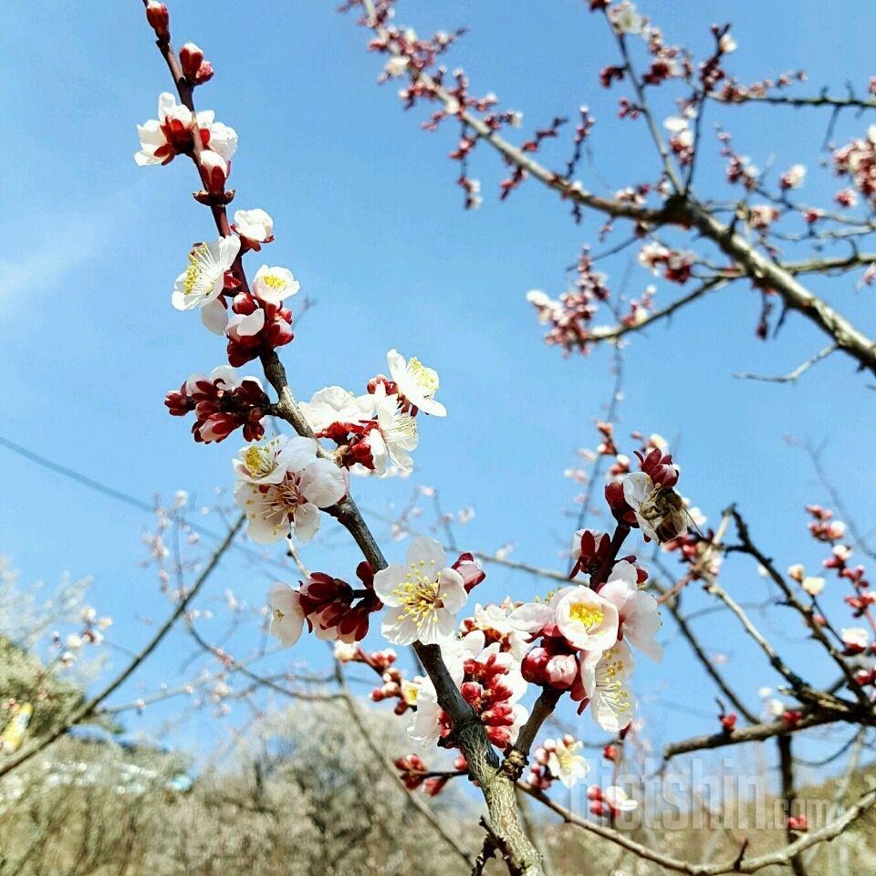 주말힐링💖