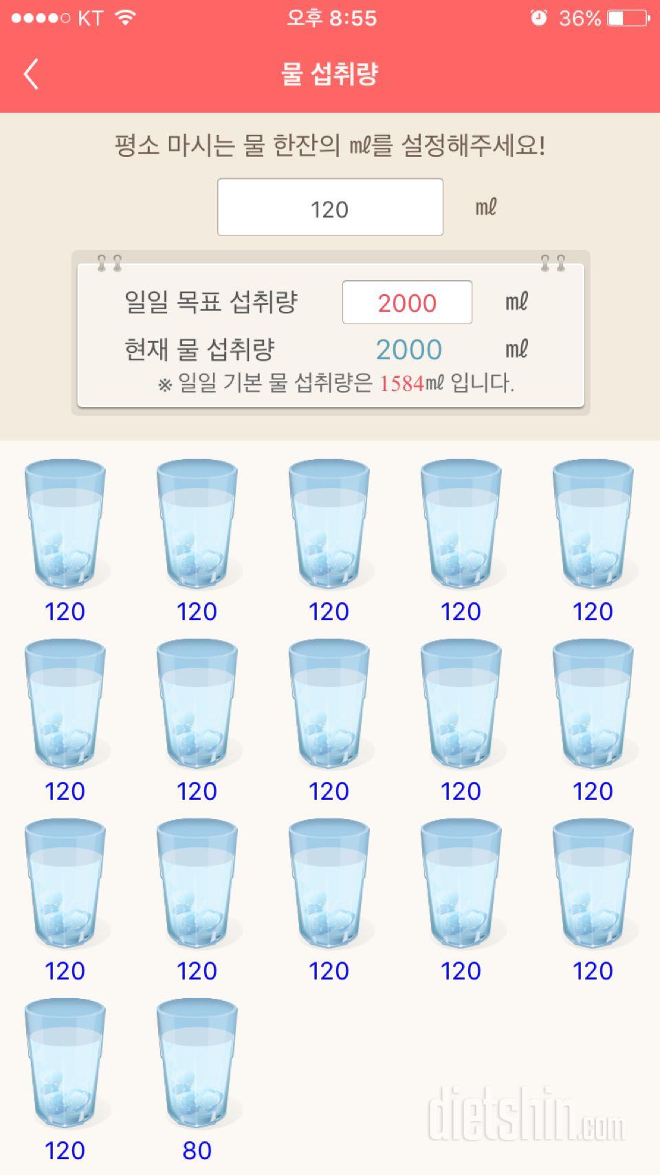 30일 하루 2L 물마시기 5일차 성공!