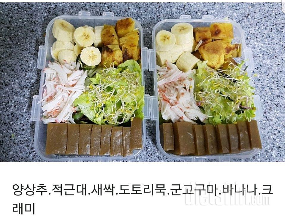 셀프다이어트 도시락