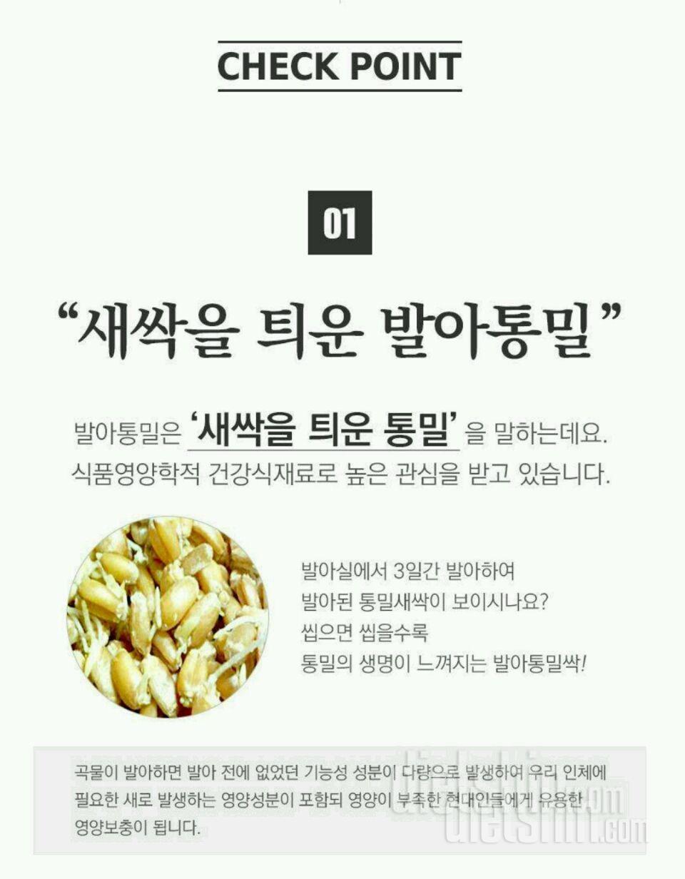 <<새싹발아 통밀빵>> 최종후기 #2