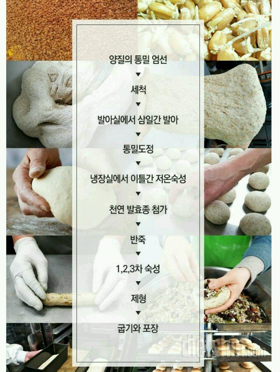<<새싹발아 통밀빵>> 최종후기 #2
