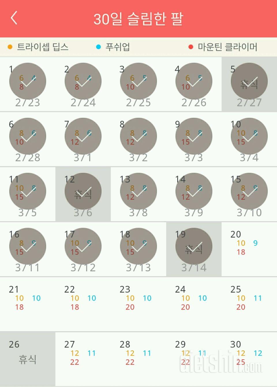 30일 슬림한 팔 19일차 성공!