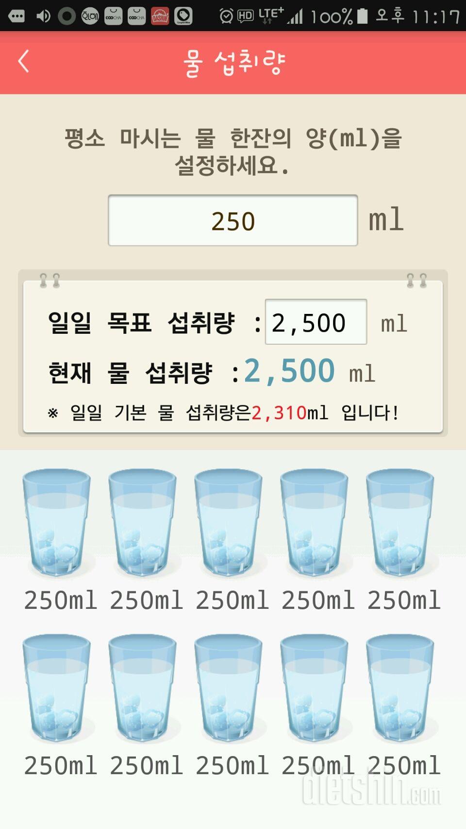 30일 하루 2L 물마시기 17일차 성공!