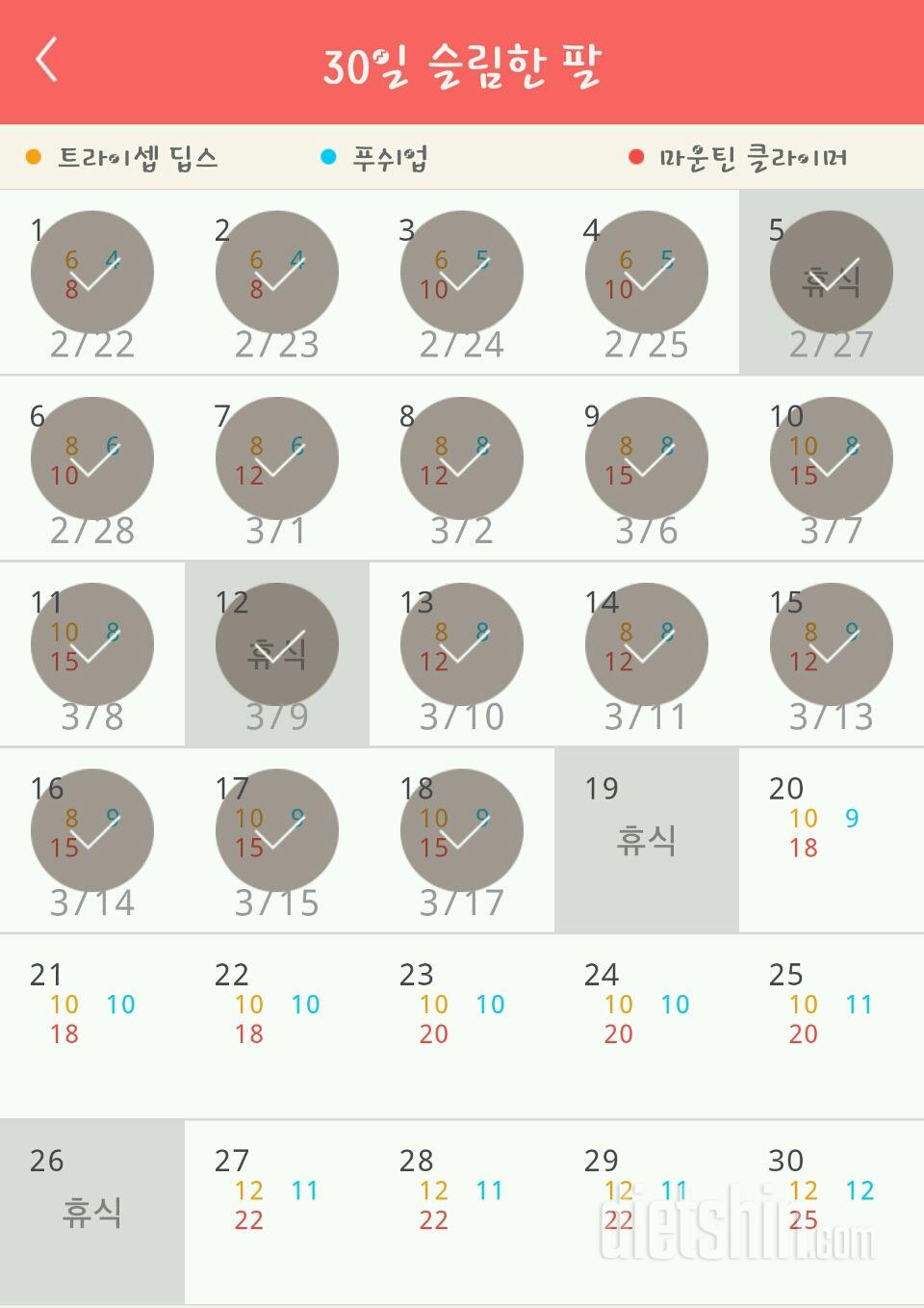 30일 슬림한 팔 18일차 성공!