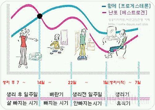 생리주기 기간별 도움되시라고 올려봅니다~^^