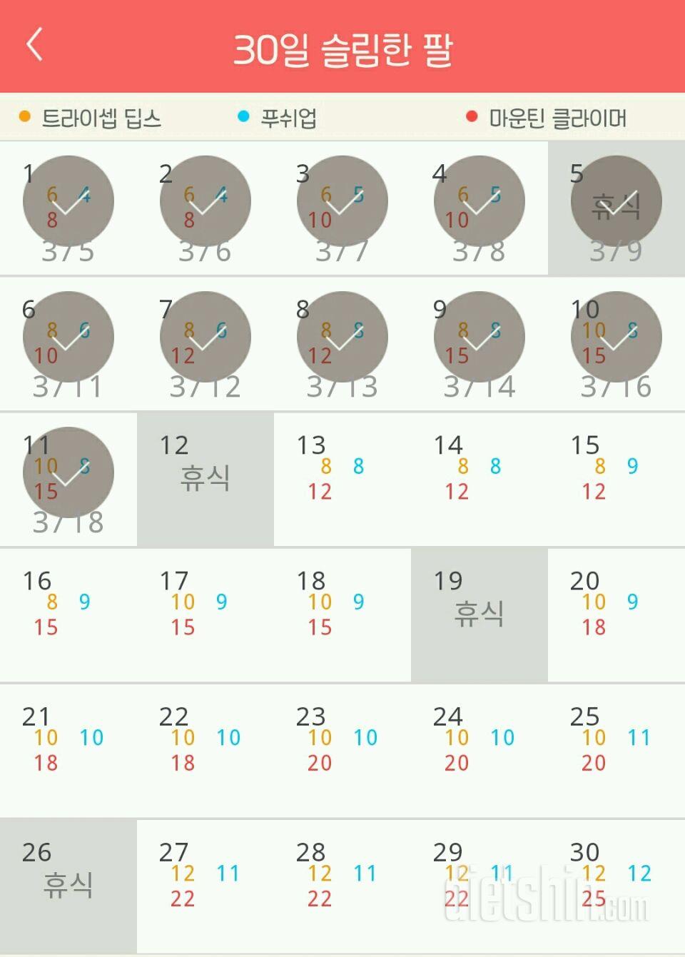 30일 슬림한 팔 11일차 성공!