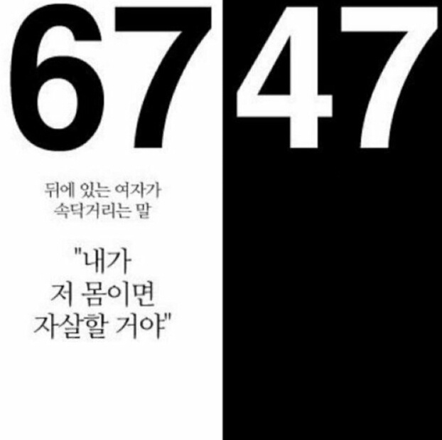 자극사진222