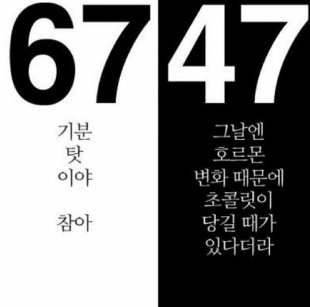 자극사진222