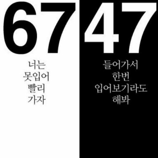 자극사진222