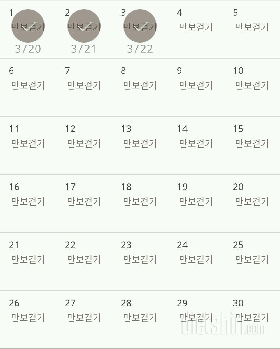 30일 만보 걷기 33일차 성공!