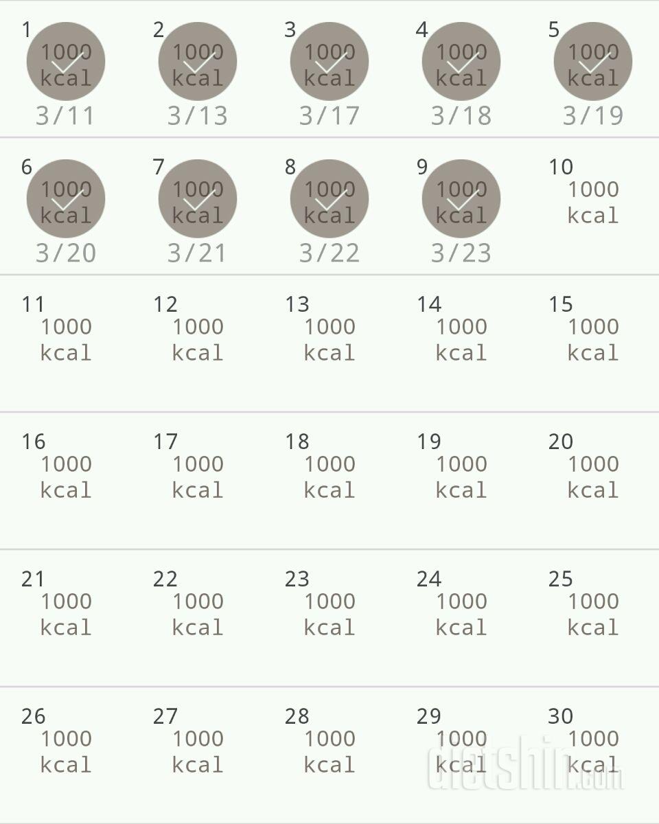 30일 1,000kcal 식단 9일차 성공!