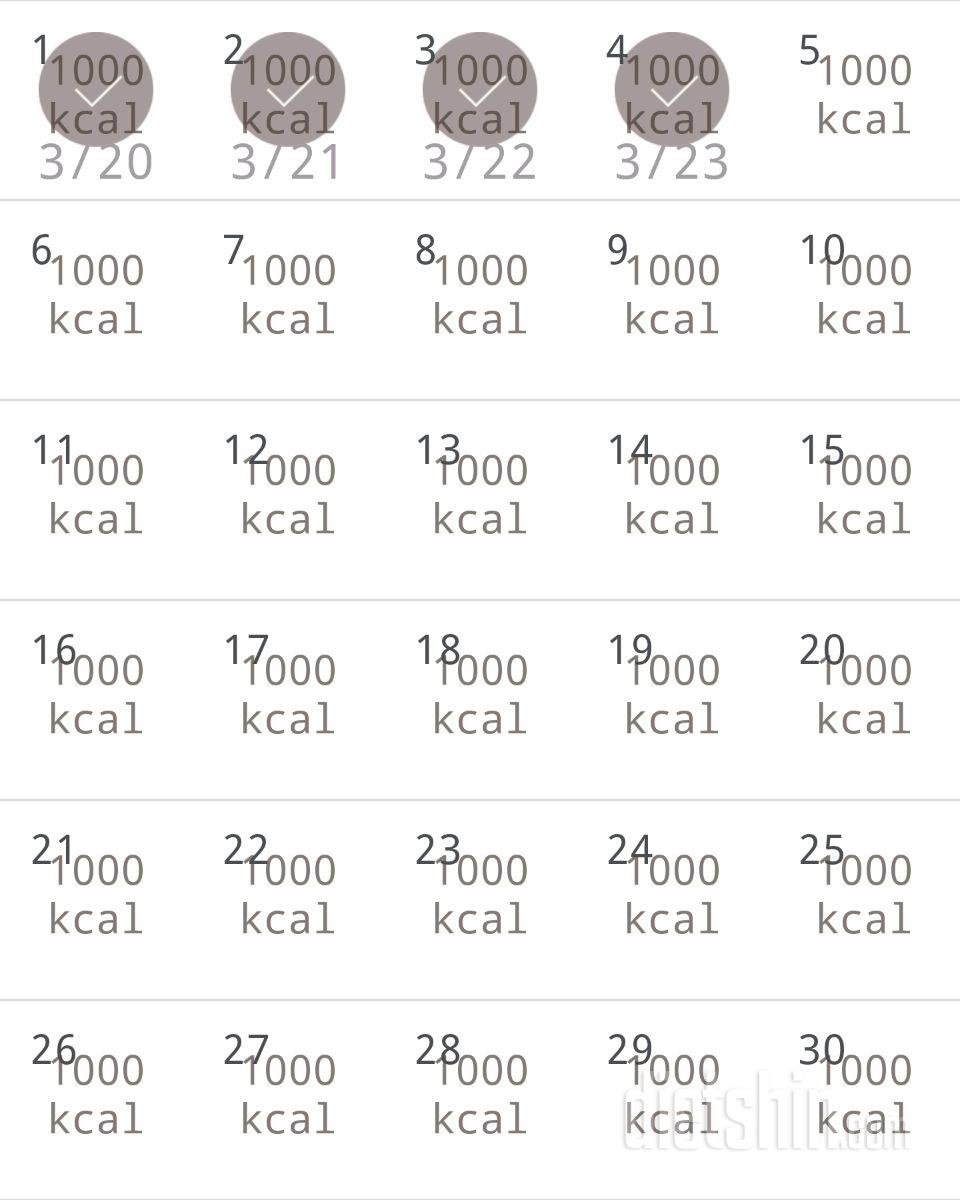 30일 1,000kcal 식단 4일차 성공!