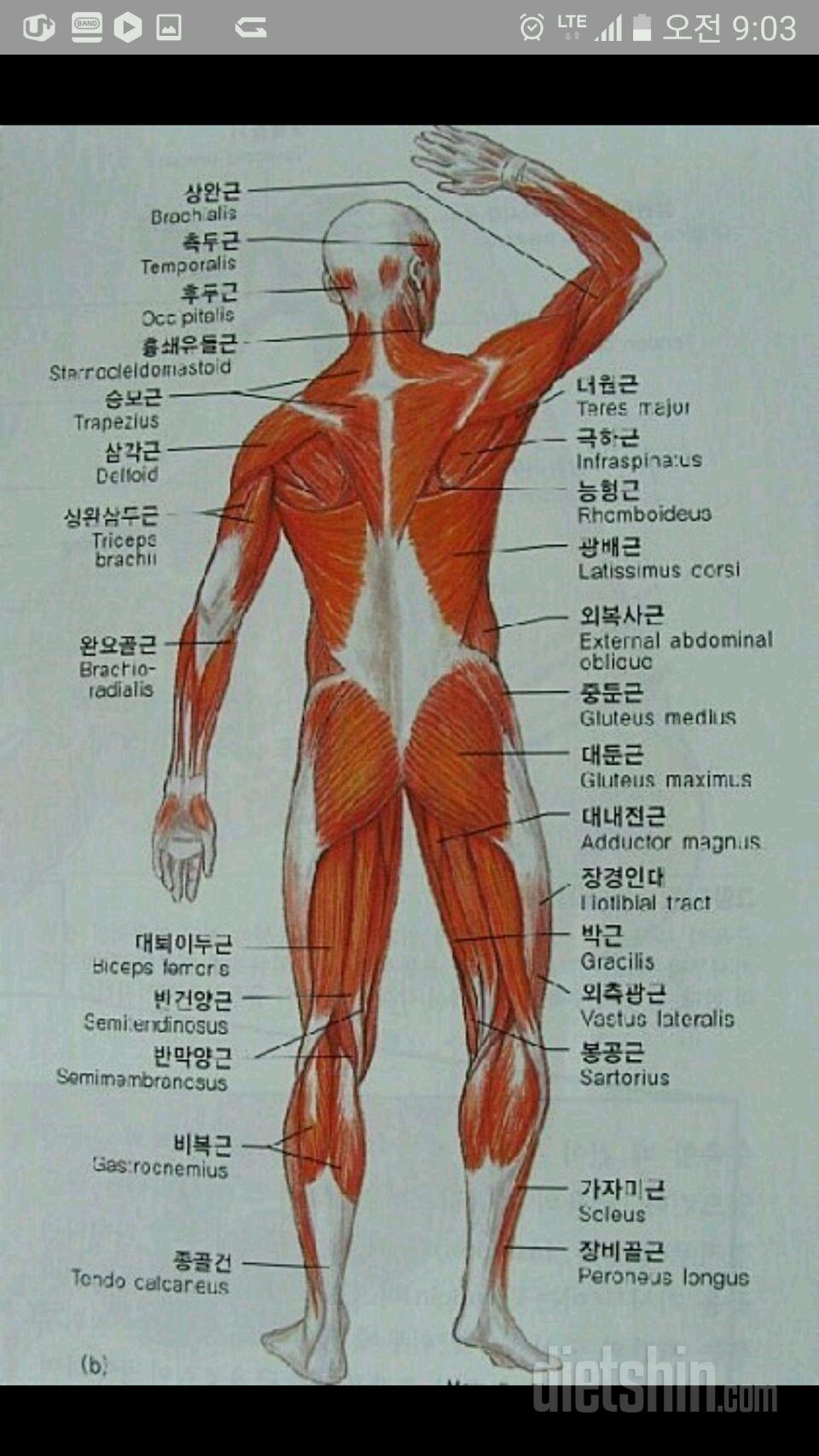 3월24일 금요일 아침 운동~~ing