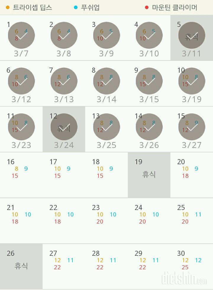 30일 슬림한 팔 15일차 성공!