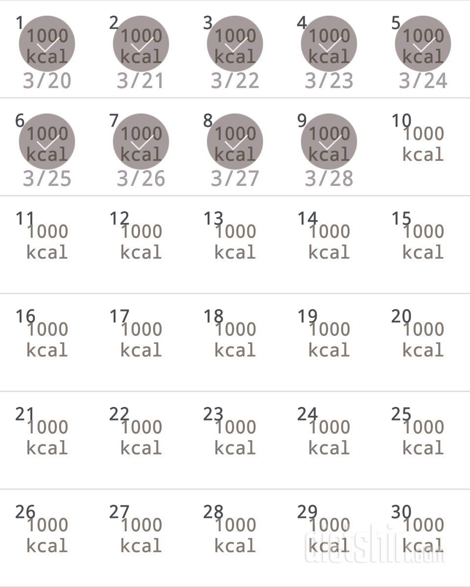 30일 1,000kcal 식단 9일차 성공!