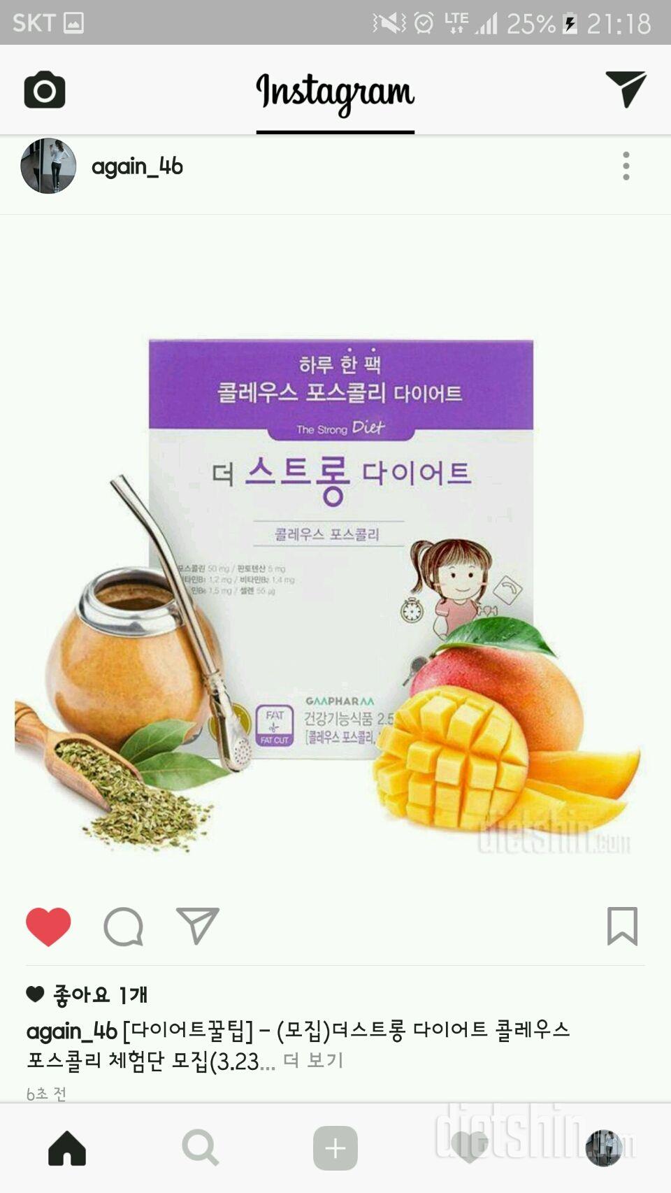 🎶 콜레우스 포스콜리 더 스트롱 다이어트 🖒🖒🖒 체험신청합니당