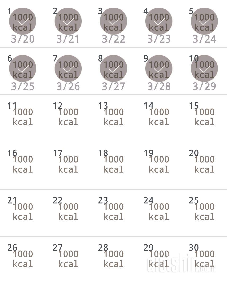 30일 1,000kcal 식단 10일차 성공!