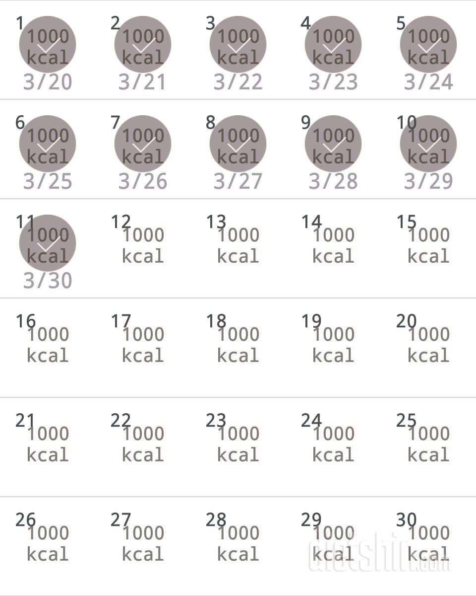 30일 1,000kcal 식단 11일차 성공!