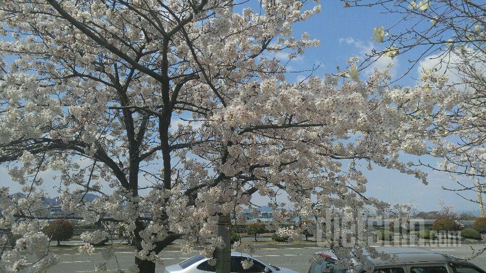 날씨 넘좋아요^^!!