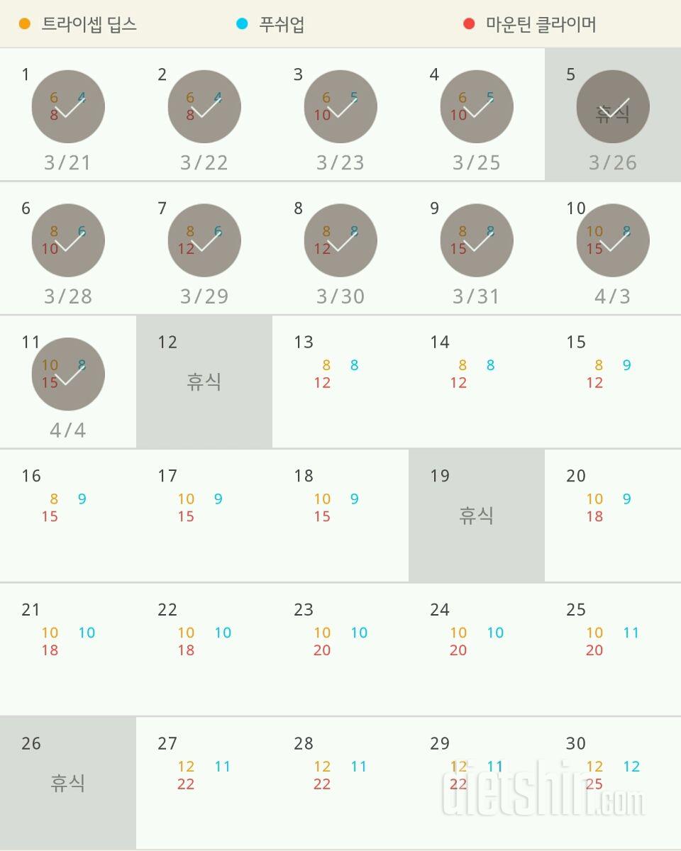 30일 슬림한 팔 11일차 성공!