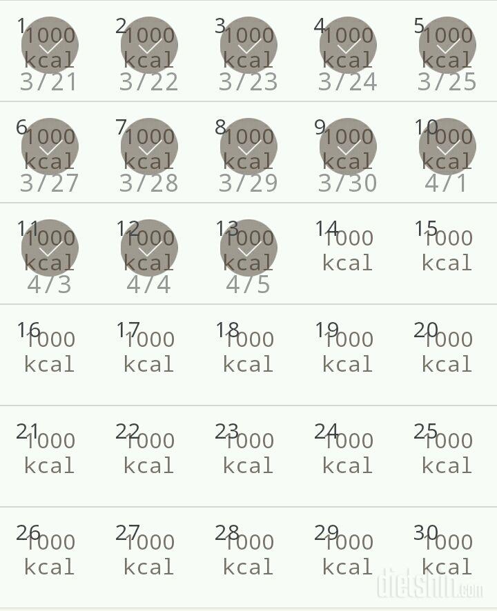 30일 1,000kcal 식단 13일차 성공!